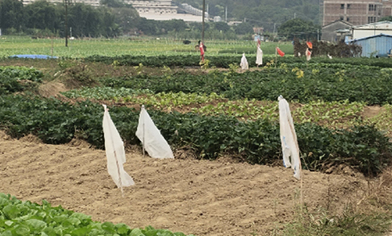 食堂承包
